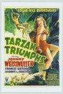 Tarzan Triumphs / Tarzan's Desert Mystery  (Double Feature)